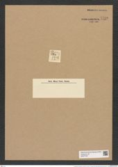 Goniothecium navicula Ehr. (de-Toni-Nr.: Genus 157, Species 4230) Zeichnungen Sammlung Grunow Nr. 7799 (NHMW-BOT-W0377037)